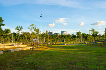 Obraz premium Green city park tropical tree forest sky with cloud