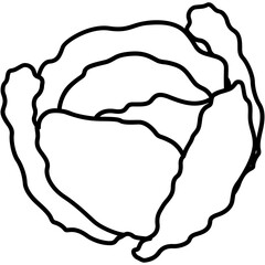 Cabbage Icon