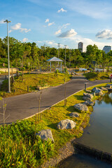 Green city park tropical tree forest sky with cloud