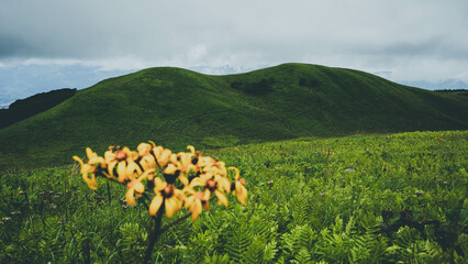 ビーナスライン　蓼科大滝　白樺湖　蓼科湖
