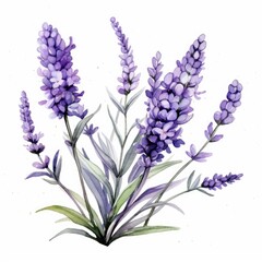 Naklejka premium Delicate Lavender Watercolor Illustration