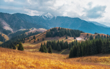Stone Aktas Plateau in the mountains of Kazakhstan near the city of Almaty. Trans Ili Alatau in the...