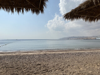 sea, palm trees, shore, ocean, water, Eilat, desert, summer, rest
