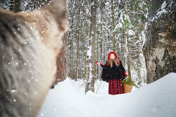 Meeting of Cute little girl in red cap or hat and black coat with basket of green fir branches and...