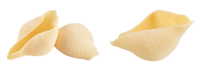 Conchiglioni italian pasta isolated on white background with full depth of field
