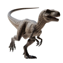 Fototapeta premium Velociraptor Isolated