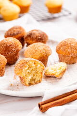 cinnamon and sugar mini muffins cupcakes, a sweet bite-sized aromatic and dessert on a white plate