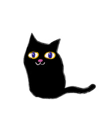 black cat