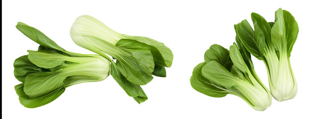 Fresh pak choi cabbage isolated on white background. Top view. Flat lay - obrazy, fototapety, plakaty