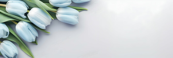 Long wide banner with tulips on a light stone background. Free copy space for text. Greetings card idea, invitation for wedding reception ora valentines mother's day. Generative AI. - obrazy, fototapety, plakaty