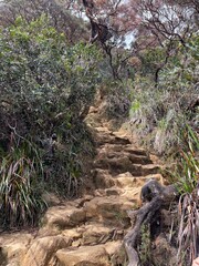 stream in the mountains
