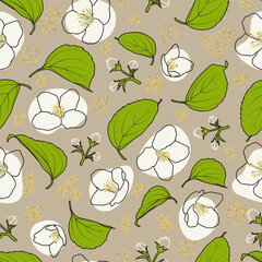 Floral vector seamless pattern with outline jasmine flowers, leaves and buds.
