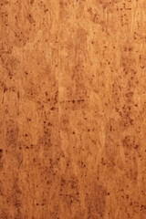 Old flat sheet of cork texture, birdseyeview. AI generative