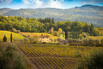 Italia, Toscana, il Chianti in autunno. - 678253827