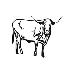 sketch of a bull with a transparent background from line elements for making logos and symbols