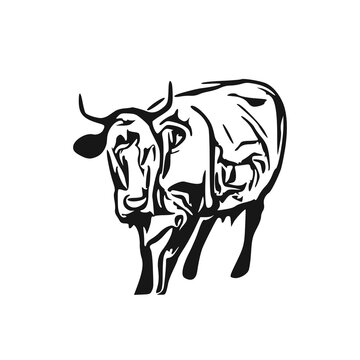 sketch of a bull with a transparent background from line elements for making logos and symbols
