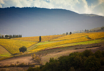 Italia, Toscana, il Chianti in autunno.