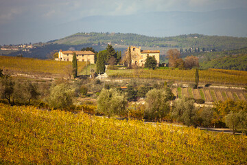 Italia, Toscana, il Chianti in autunno.
