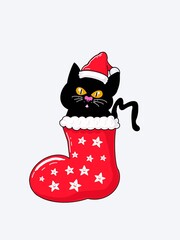 Christmas Cat in Christmas Boot