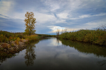 Fototapeta premium Wild Fowl Bay State Wildlife Area (2023)