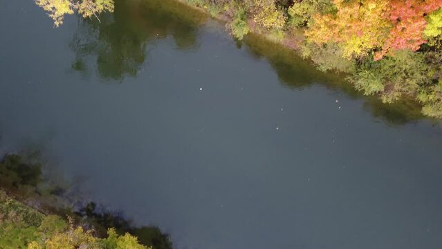Aerial views of autumn in Munich. Isar river seen from above with colorful trees nearby