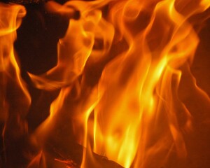 Fototapeta premium Fire is the phenomenon of combustion manifested in light, flame, and heat.