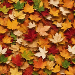 Naklejka na ściany i meble autumn leaves on a white background