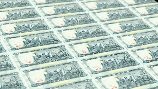 Eritre Eritrean Nakfa 20 Banknotes Money Printing House, Printing Twenty Eritrean Nakfa, Printing Press Machine Print out Eritrean Nakfa, Being printed by currency press machine 20 Eritrean