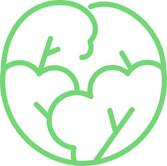 Cabbage icon
