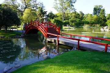Beautiful landscape with a red bridge over a small river in a Japanese garden in Buenos Aires