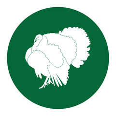 Turkey icon