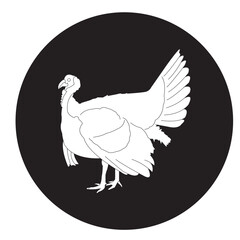 Turkey icon