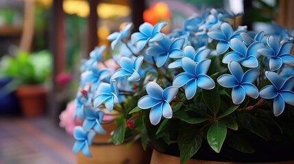 Flower pot with blue flowers in a flower shop. Springtime Concept. Valentine's Day Concept with a...