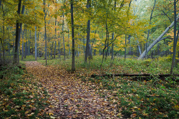 Harris Nature Trails (2023)