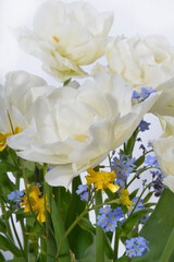 close up white tulip bouquet