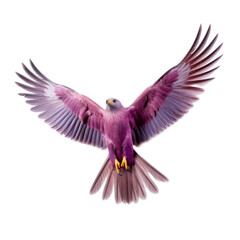 purple kite on a transparent background.