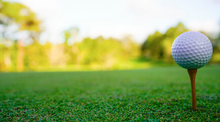 golf ball on tee in beautiful golf course with sunset. Golf ball close up in golf coures.