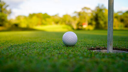 Golf ball on green grass in the evening golf course with sunshine background.