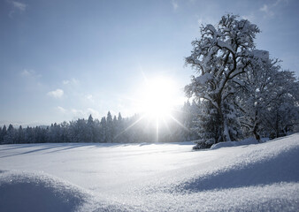 Fototapeta na wymiar Sonnenstrahlen an einer kalten verschneiten Winterlandschaft