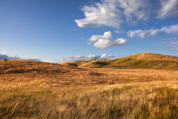 Fototapeta premium autumn in the mountains