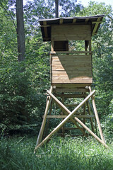 High seat for hunters in the deciduous forest