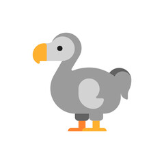 Dodo © Mehr