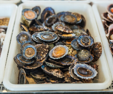 "Lapas" or true limpets - traditional seafood of Tenerife and Madeira Islands.