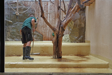 Animal keeper cleans an animal enclosure
