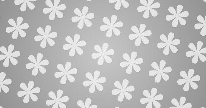 Abstract pattern background. Individually Rotating flowers over grey color background. Seamless loop repeated pattern motion graphics background.