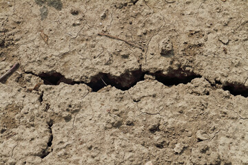Cracked ground in a period of drought