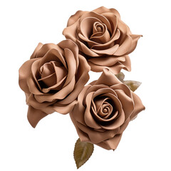 brown roses on isolated background