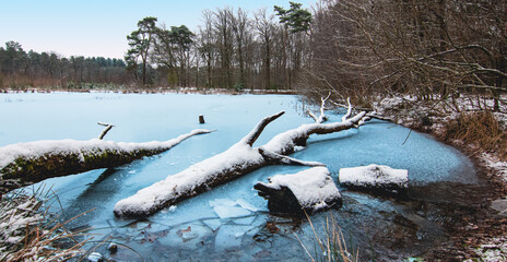 Winter landscape with frozen lake and fallen tree trunks in forest. 