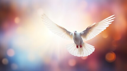 Obraz premium white dove of peace flying in the sky. Hope for peace concept illustration.