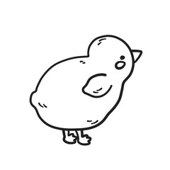 Cute chick outline. Chicken, farm animal in doodle and linear drawing style. Vector illustration, png on transparent background